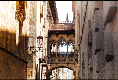 Gothic Quarter (Barri Gòtic)